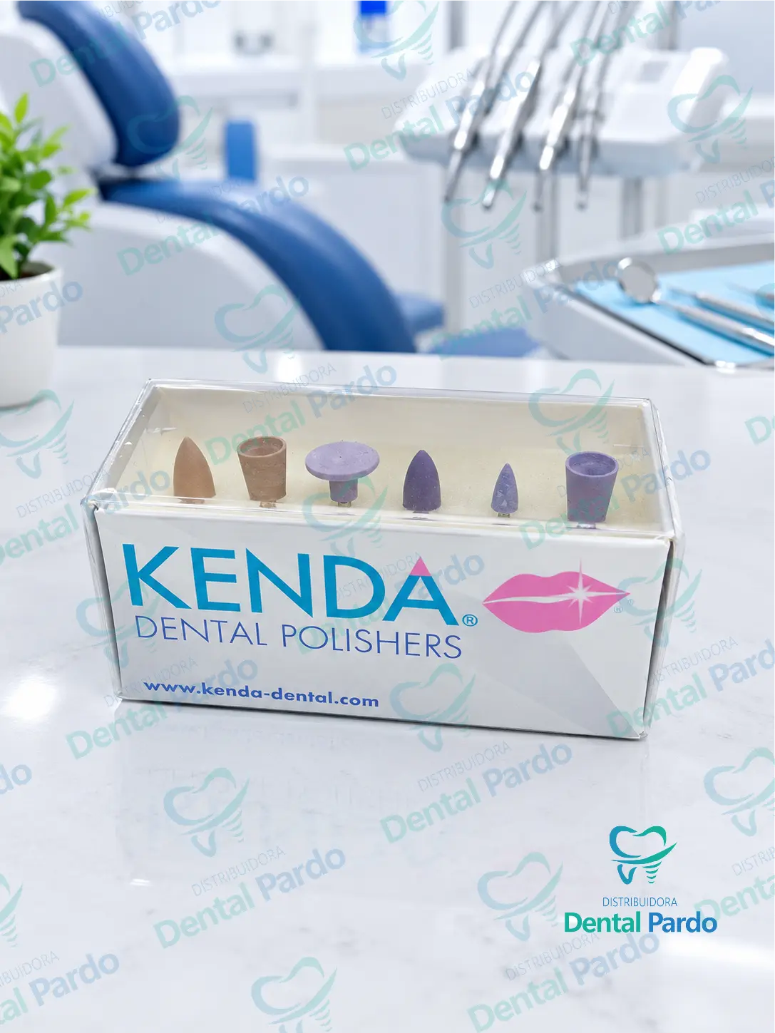 Kit De Pulidores Dentales Surtidos (6 Piezas) | Kenda